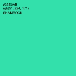 #33E0AB - Shamrock Color Image