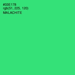 #33E178 - Malachite Color Image