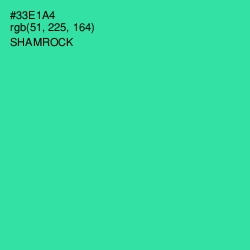 #33E1A4 - Shamrock Color Image