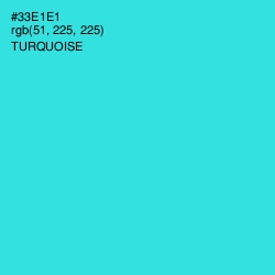 #33E1E1 - Turquoise Color Image