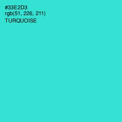 #33E2D3 - Turquoise Color Image