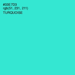 #33E7D3 - Turquoise Color Image