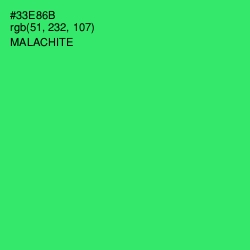 #33E86B - Malachite Color Image