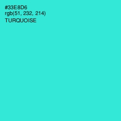 #33E8D6 - Turquoise Color Image