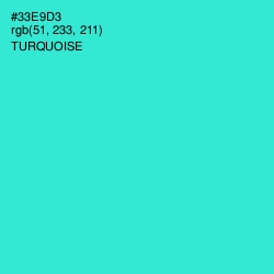 #33E9D3 - Turquoise Color Image