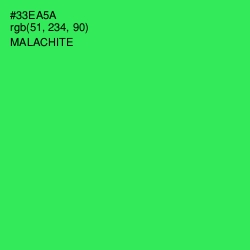 #33EA5A - Malachite Color Image