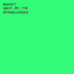 #33FB77 - Spring Green Color Image