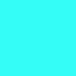 #33FDF6 - Cyan / Aqua Color Image