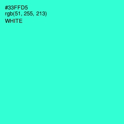 #33FFD5 - Turquoise Color Image