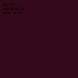 #340919 - Aubergine Color Image