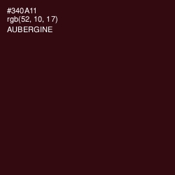 #340A11 - Aubergine Color Image