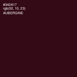 #340A17 - Aubergine Color Image