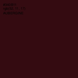 #340B11 - Aubergine Color Image