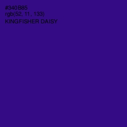 #340B85 - Kingfisher Daisy Color Image