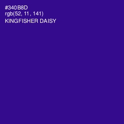 #340B8D - Kingfisher Daisy Color Image