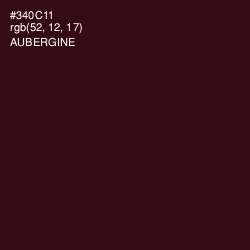 #340C11 - Aubergine Color Image
