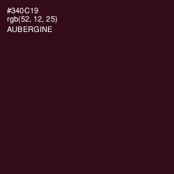 #340C19 - Aubergine Color Image