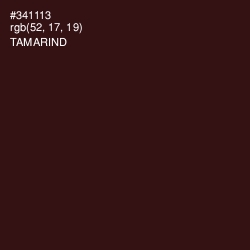 #341113 - Tamarind Color Image