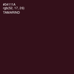 #34111A - Tamarind Color Image