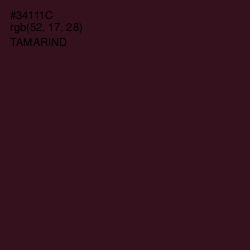 #34111C - Tamarind Color Image