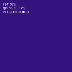 #34137E - Persian Indigo Color Image