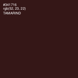 #341716 - Tamarind Color Image