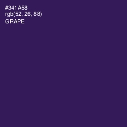 #341A58 - Grape Color Image