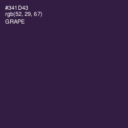 #341D43 - Grape Color Image