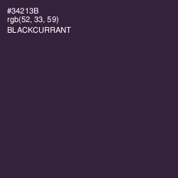 #34213B - Blackcurrant Color Image