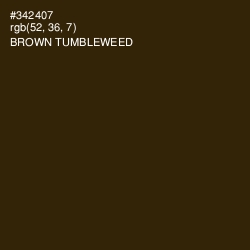 #342407 - Brown Tumbleweed Color Image