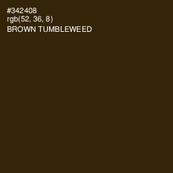 #342408 - Brown Tumbleweed Color Image