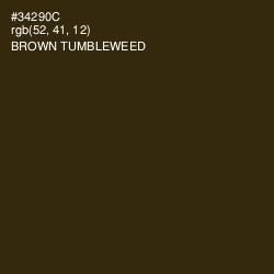 #34290C - Brown Tumbleweed Color Image