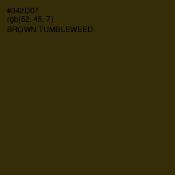 #342D07 - Brown Tumbleweed Color Image