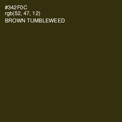 #342F0C - Brown Tumbleweed Color Image