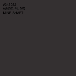 #343032 - Mine Shaft Color Image