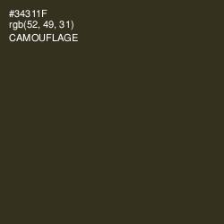 #34311F - Camouflage Color Image
