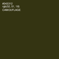 #343312 - Camouflage Color Image