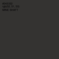 #343332 - Mine Shaft Color Image