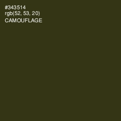 #343514 - Camouflage Color Image