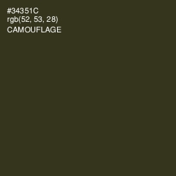 #34351C - Camouflage Color Image