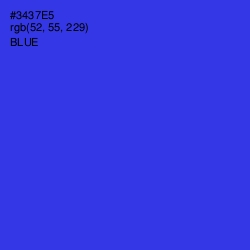 #3437E5 - Blue Color Image