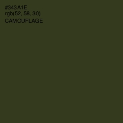 #343A1E - Camouflage Color Image