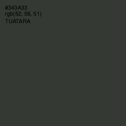 #343A33 - Tuatara Color Image