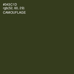 #343C1D - Camouflage Color Image