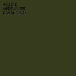 #343C1D - Camouflage Color Image