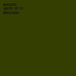 #343E00 - Waiouru Color Image