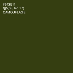 #343E11 - Camouflage Color Image