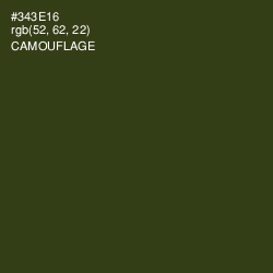 #343E16 - Camouflage Color Image