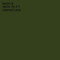 #343F1B - Camouflage Color Image