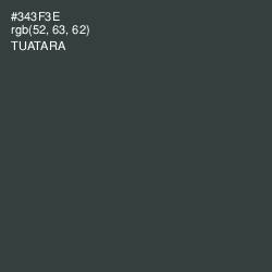 #343F3E - Tuatara Color Image